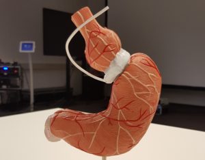 virtuele maagband